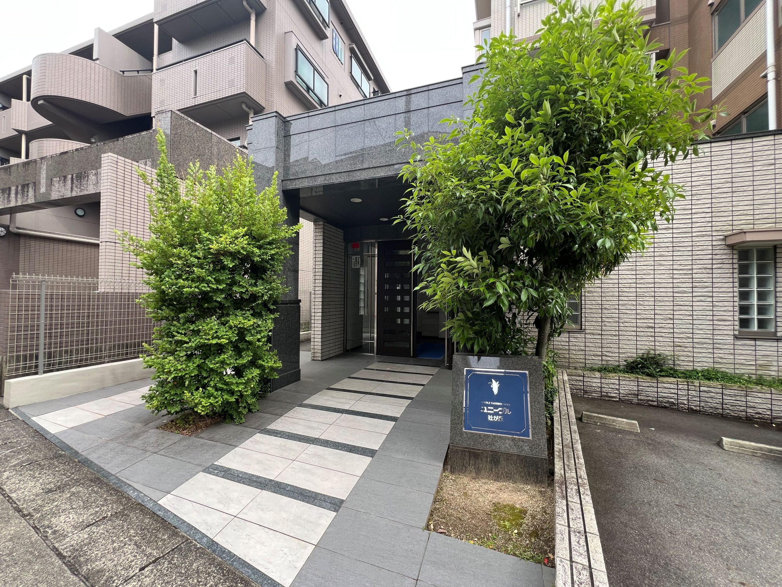 写真01