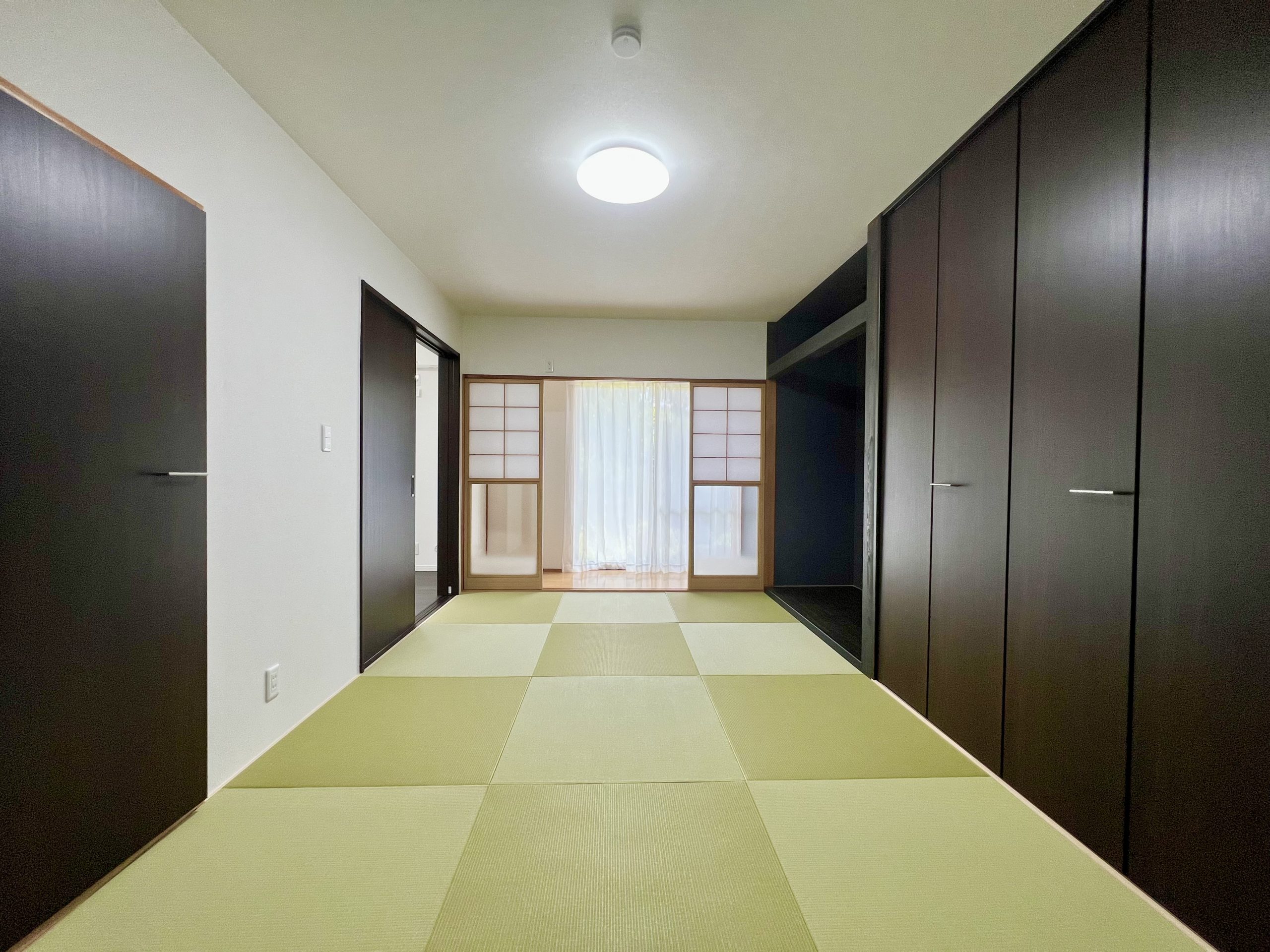 写真01