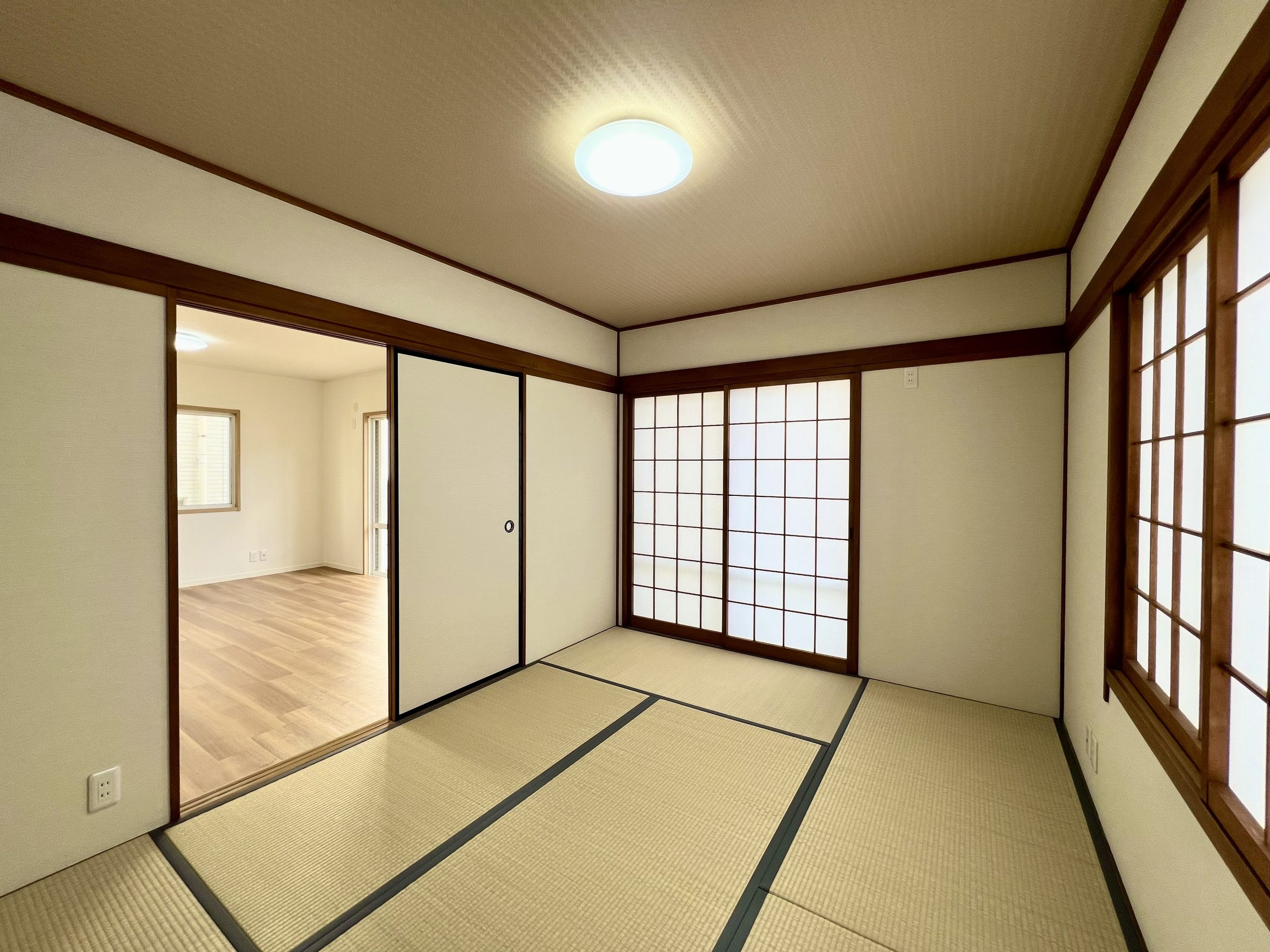 写真01